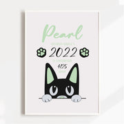 Name & Birth Cat Satin Posters